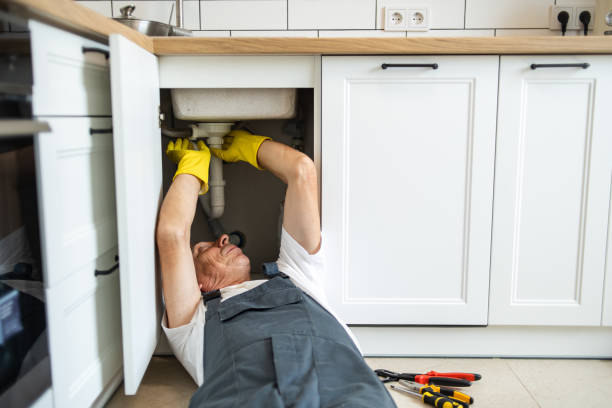 Best Plumbing Inspection Services  in Cannon Af, NM