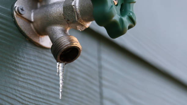 Best 24-Hour Plumber Near Me  in Cannon Af, NM